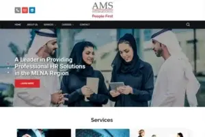 AMS International Consultancy