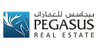 Website Design Company Kollam - Pegasus - Project